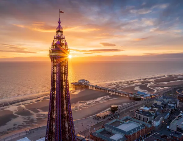 Tower Karl Houghton Rights Purchased 2022