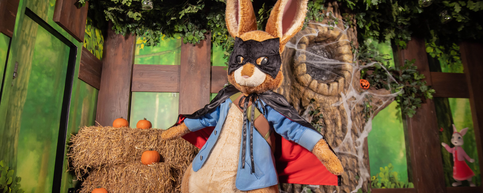 Peter Rabbit Homepage Banner