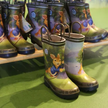 Peter Rabbit Wellies